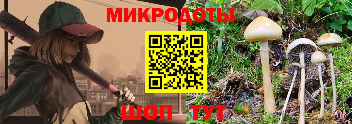 Псилоцибиновые грибы Cubensis Белогорск
