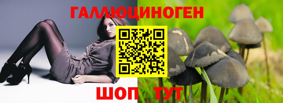 Белогорск  Псилоцибиновые грибы Cubensis  купить   Вход с VPN 